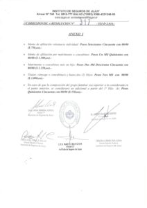 resolucion-317-3-de-3